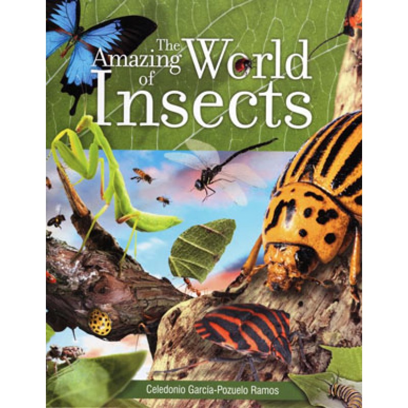 The Amazing World Of Insects
