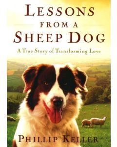 Lessons from a Sheep Dog