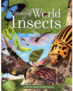 The Amazing World of Insects